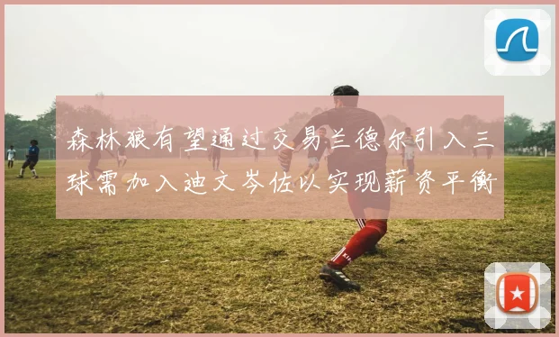 森林狼有望通过交易兰德尔引入三球需加入迪文岑佐以实现薪资平衡
